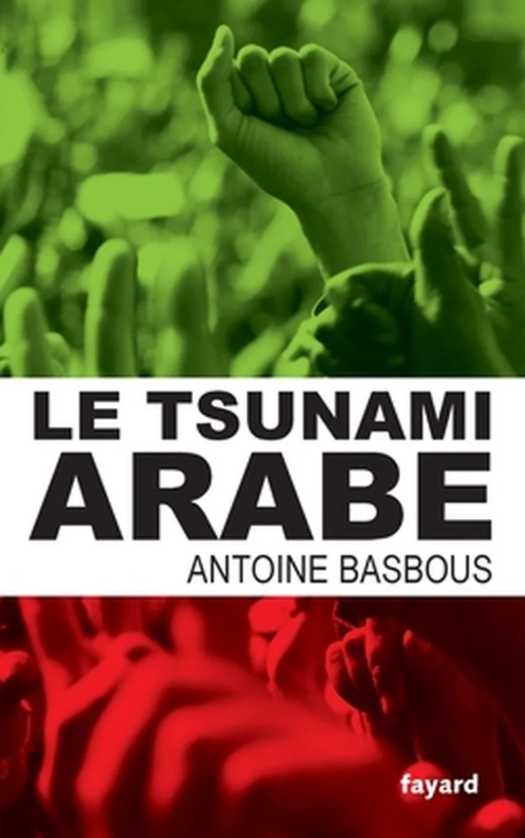 Documents-Le tsunami arabe de Fayard – photo du livre