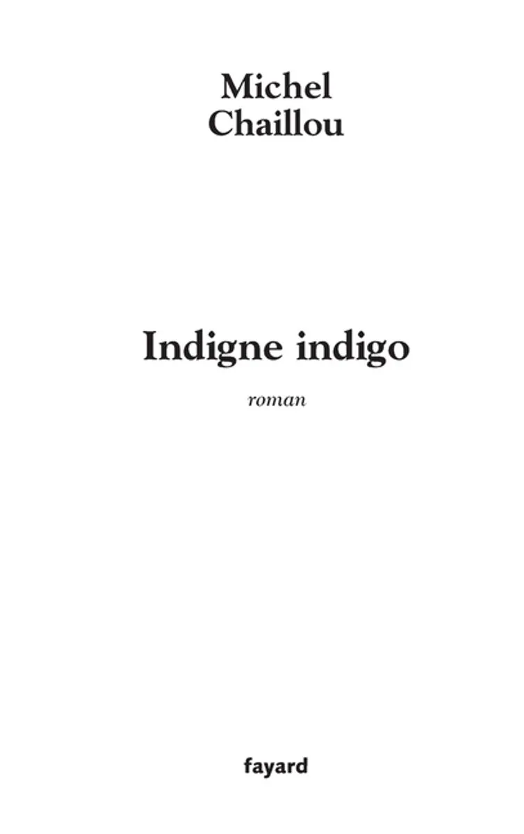 Indigne indigo von Fayard – Buchfoto