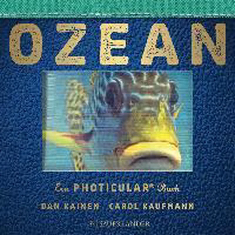Ozean fra Fischer Taschenbuch – billede af bogen