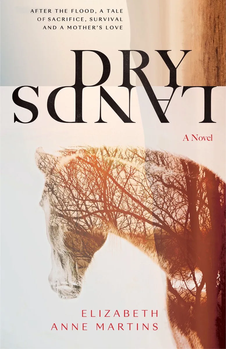Dry Lands de Flame Tree – photo du livre