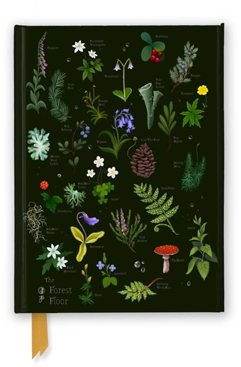Notebooks- Anna Stead: The Forest Floor (Foiled Journal) von Flame Tree – Buchfoto