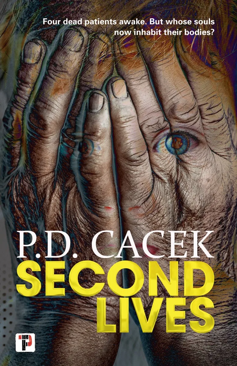Second Lives fra Flame Tree – billede af bogen