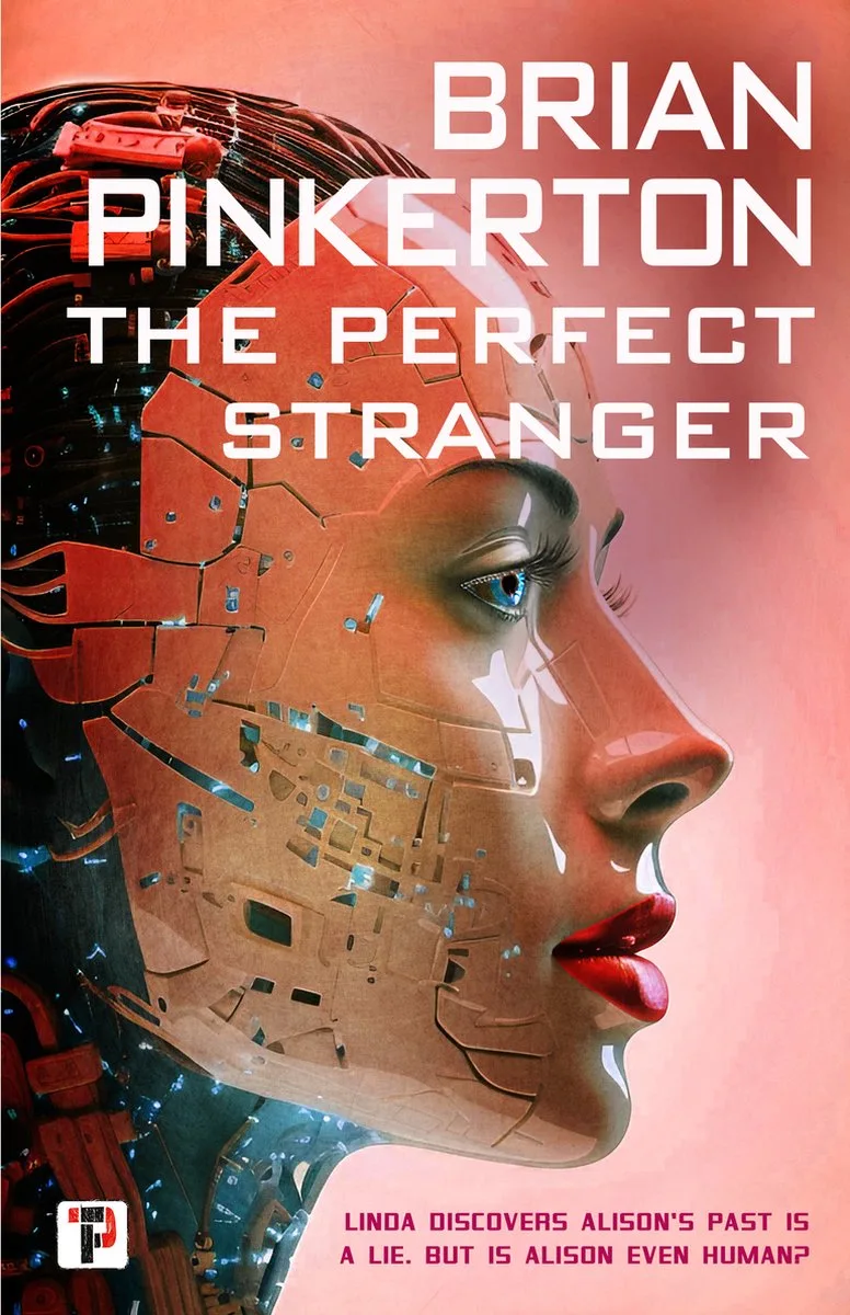 The Perfect Stranger von Flame Tree – Buchfoto