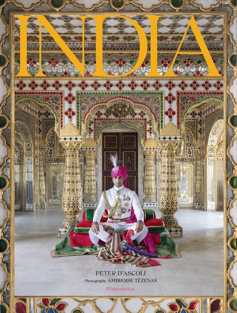 India de Flammarion – photo du livre