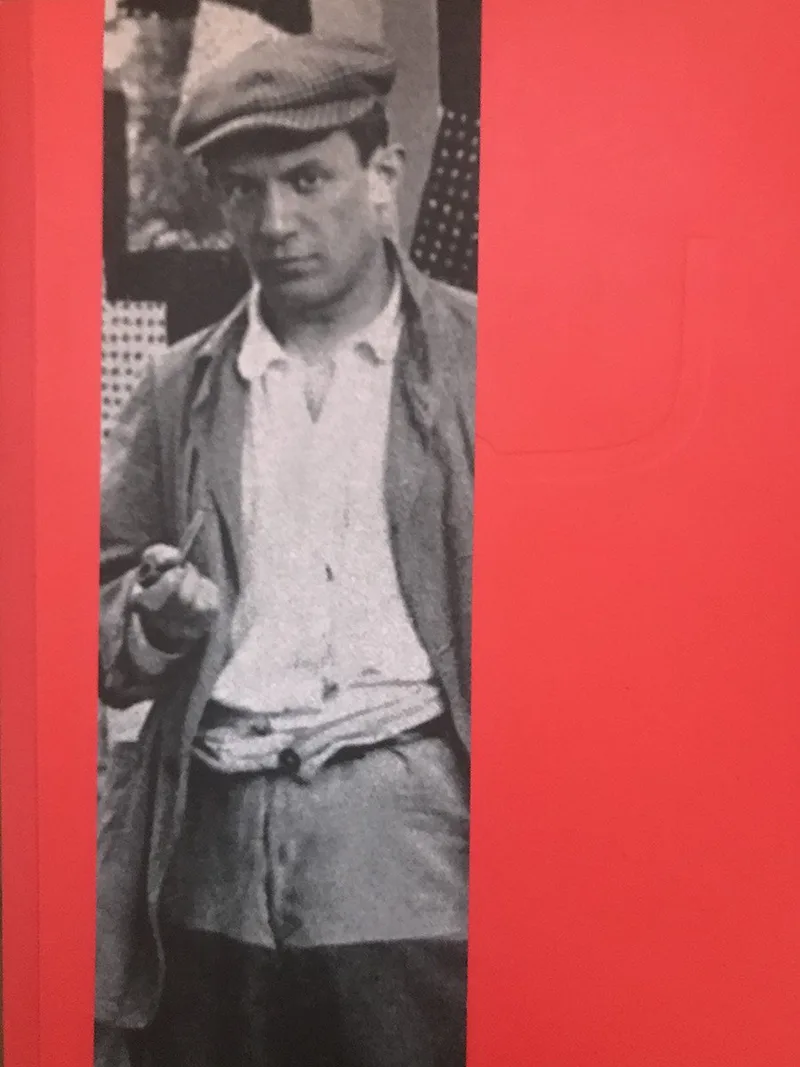 Musée Picasso Paris de Flammarion – photo du livre