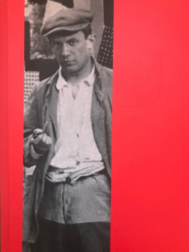 Musée Picasso Paris de Flammarion – photo du livre