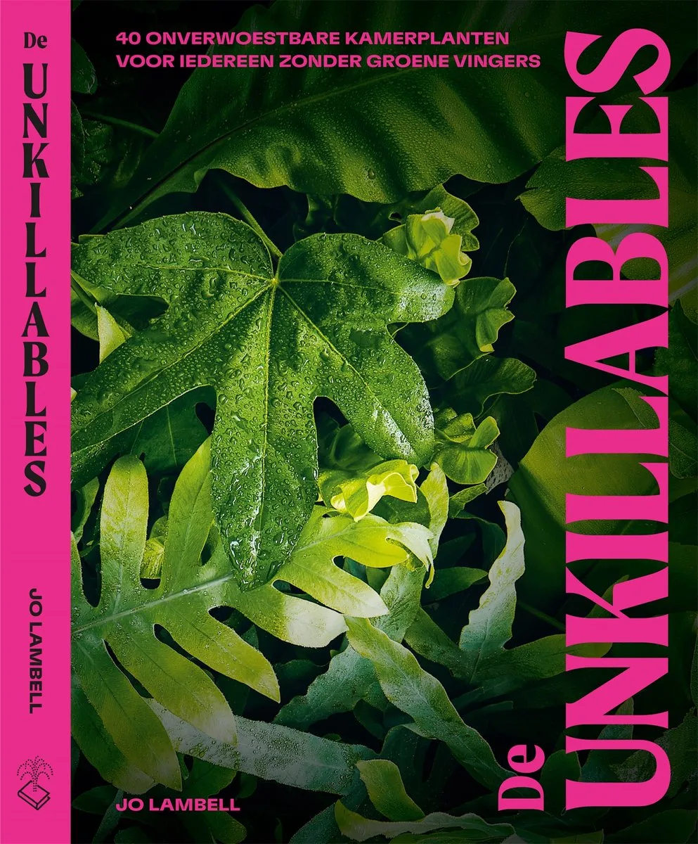 De unkillables von Fontaine – Buchfoto