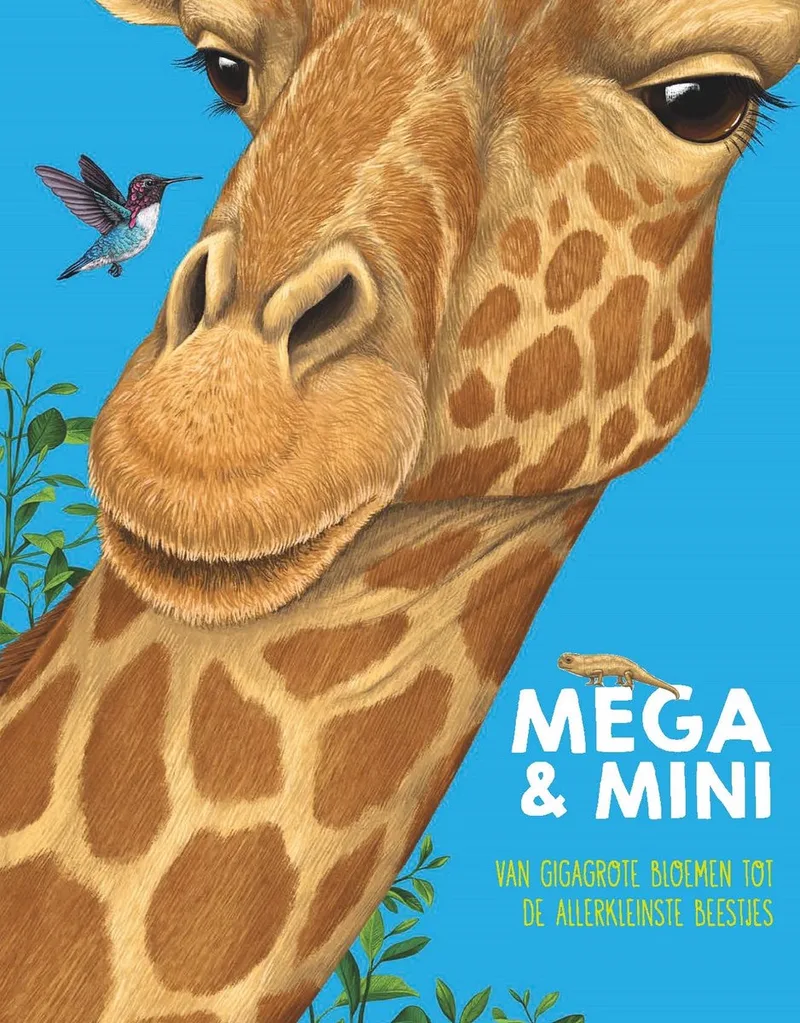 Mega & mini de Fontaine – photo du livre