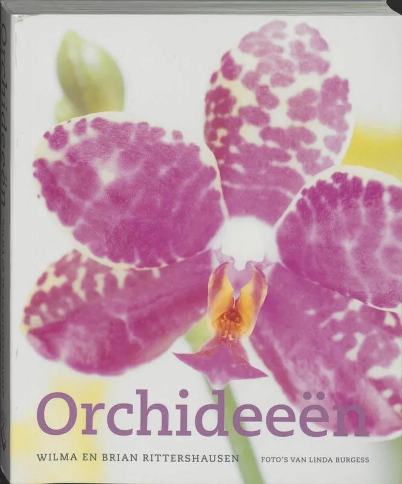 Orchideeen fra Fontaine – billede af bogen