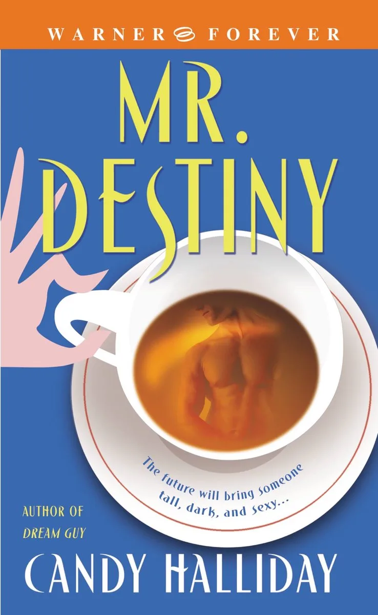Mr Destiny von Forever – Buchfoto
