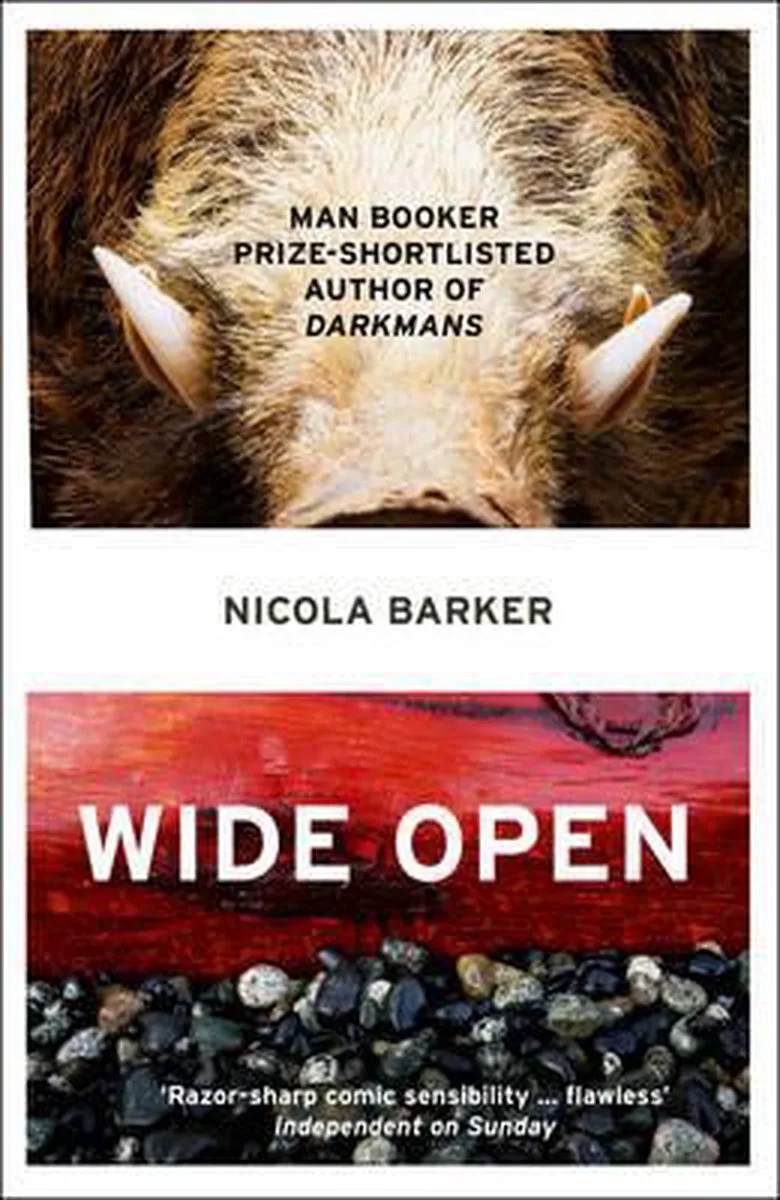 Wide Open von Fourth Estate – Buchfoto