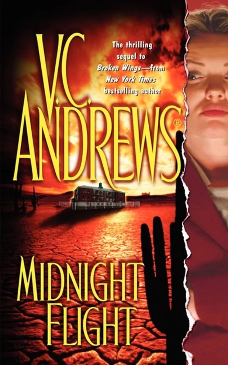 Midnight Flight von Gallery Books – Buchfoto