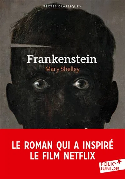 Frankenstein van Gallimard – boekfoto