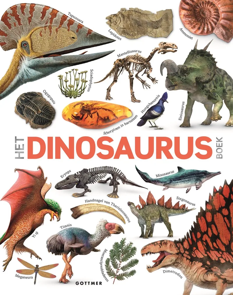 Het dinosaurusboek von Gottmer – Buchfoto