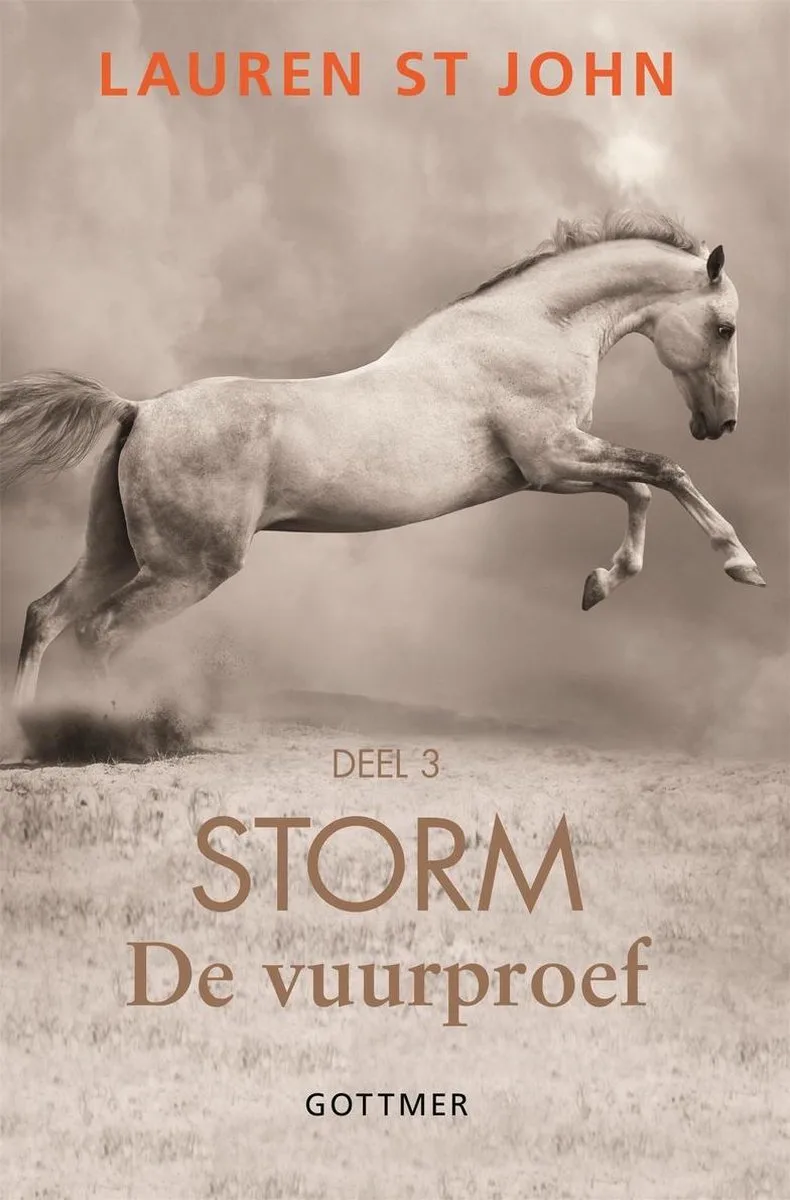 Storm 3 - De vuurproef fra Gottmer – billede af bogen