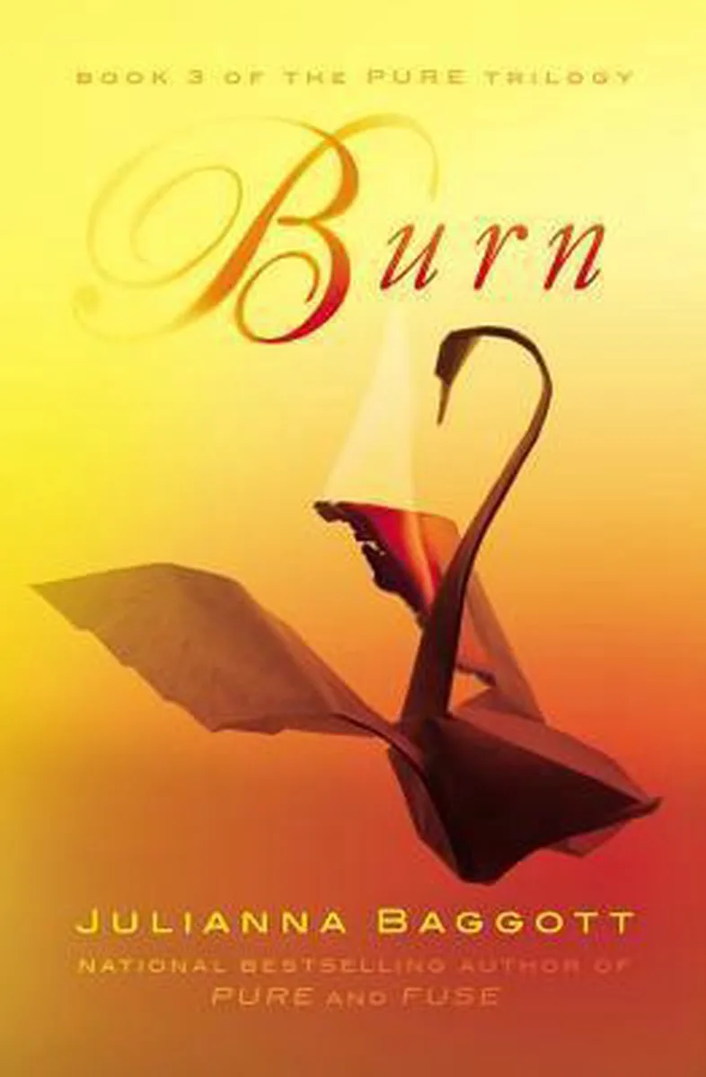 Burn von Grand Central Publishing – Buchfoto