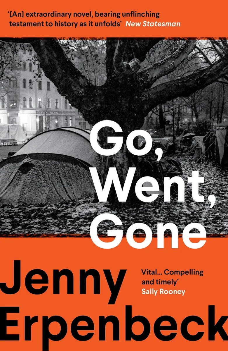 Go, Went, Gone fra Granta – billede af bogen