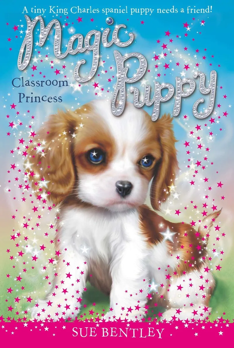 Classroom Princess von Grosset & Dunlap – Buchfoto
