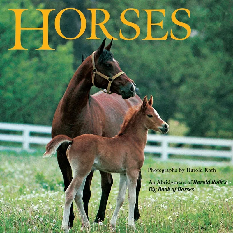 Horses von Grosset & Dunlap – Buchfoto