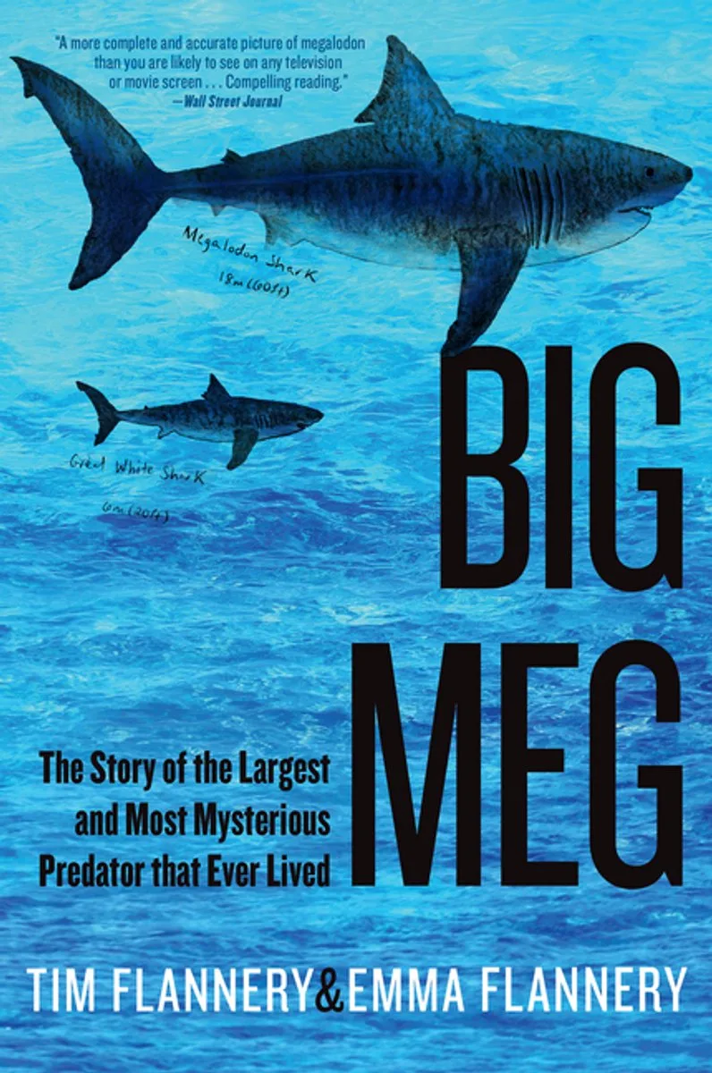 Big Meg von Grove Atlantic – Buchfoto