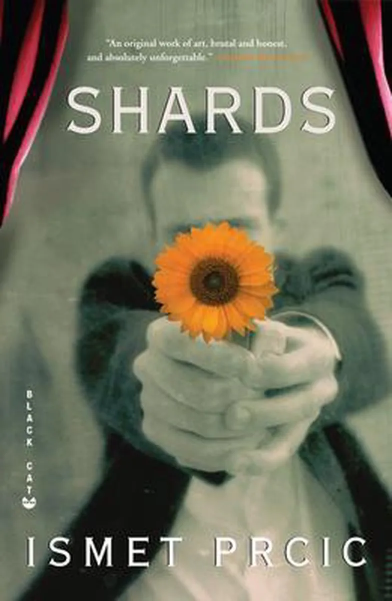 Shards fra Grove Atlantic – billede af bogen