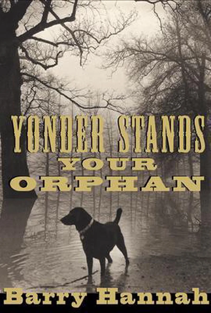 Yonder Stands Your Orphan von Grove Atlantic – Buchfoto