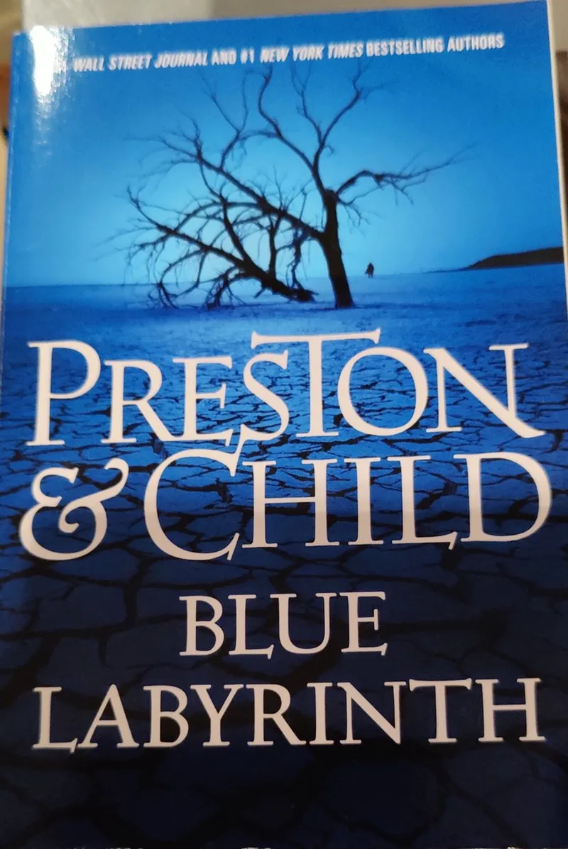 Blue Labyrinth von Hachette Books – Buchfoto