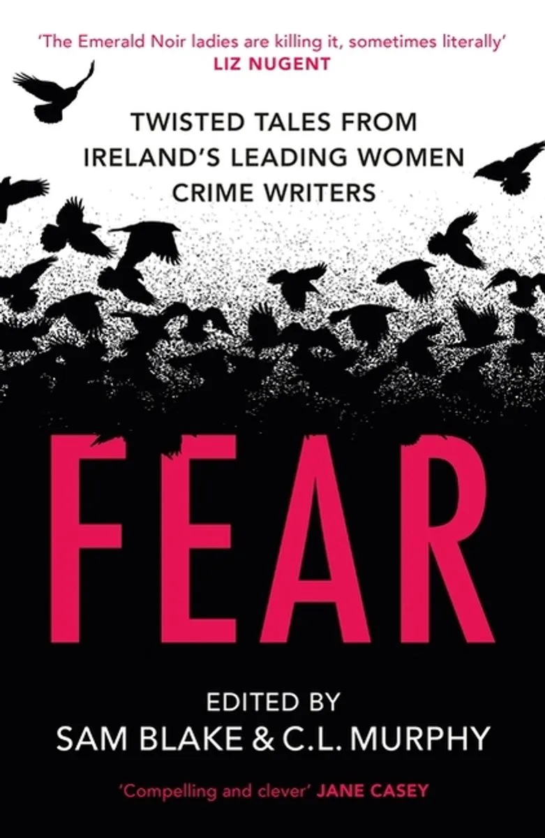 Fear fra Hachette Books – billede af bogen