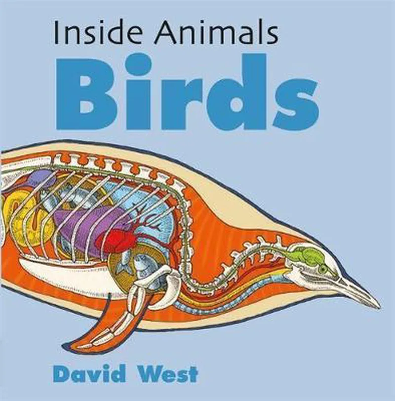 Inside Animals von Hachette Children's Group – Buchfoto