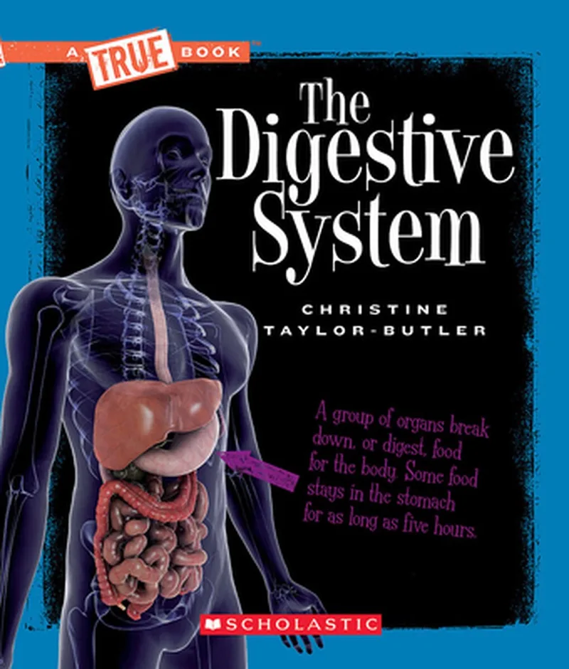 The Digestive System von Hachette Children's Group – Buchfoto