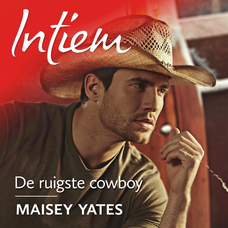De ruigste cowboy von Harlequin – Buchfoto