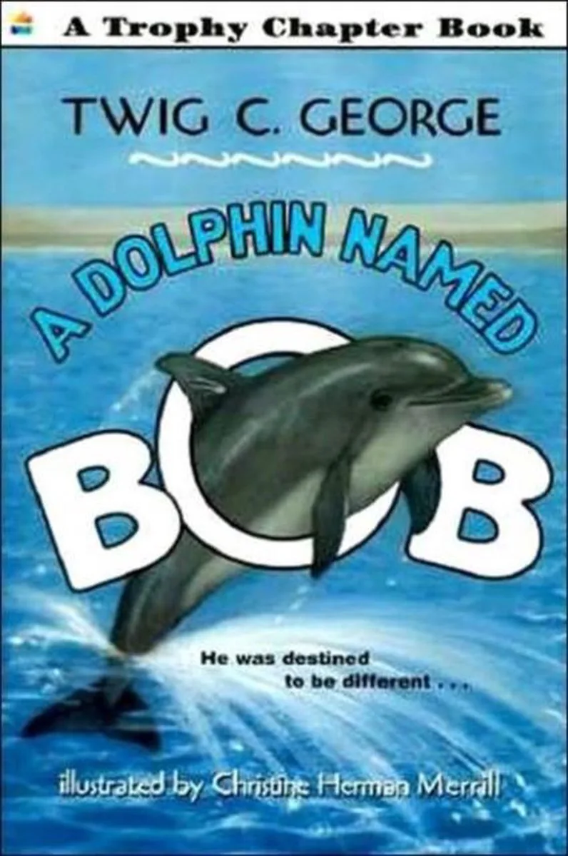 A Dolphin Named Bob fra HarperCollins – billede af bogen