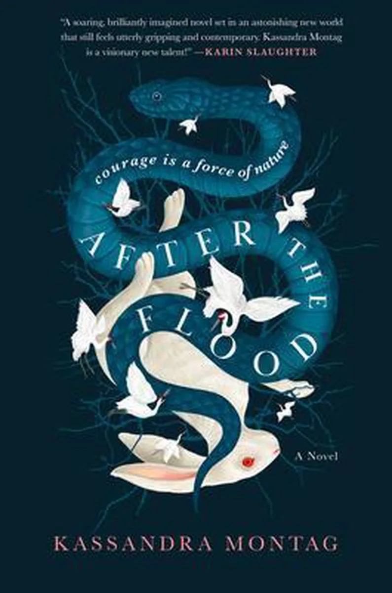 After the Flood by HarperCollins – book photo
