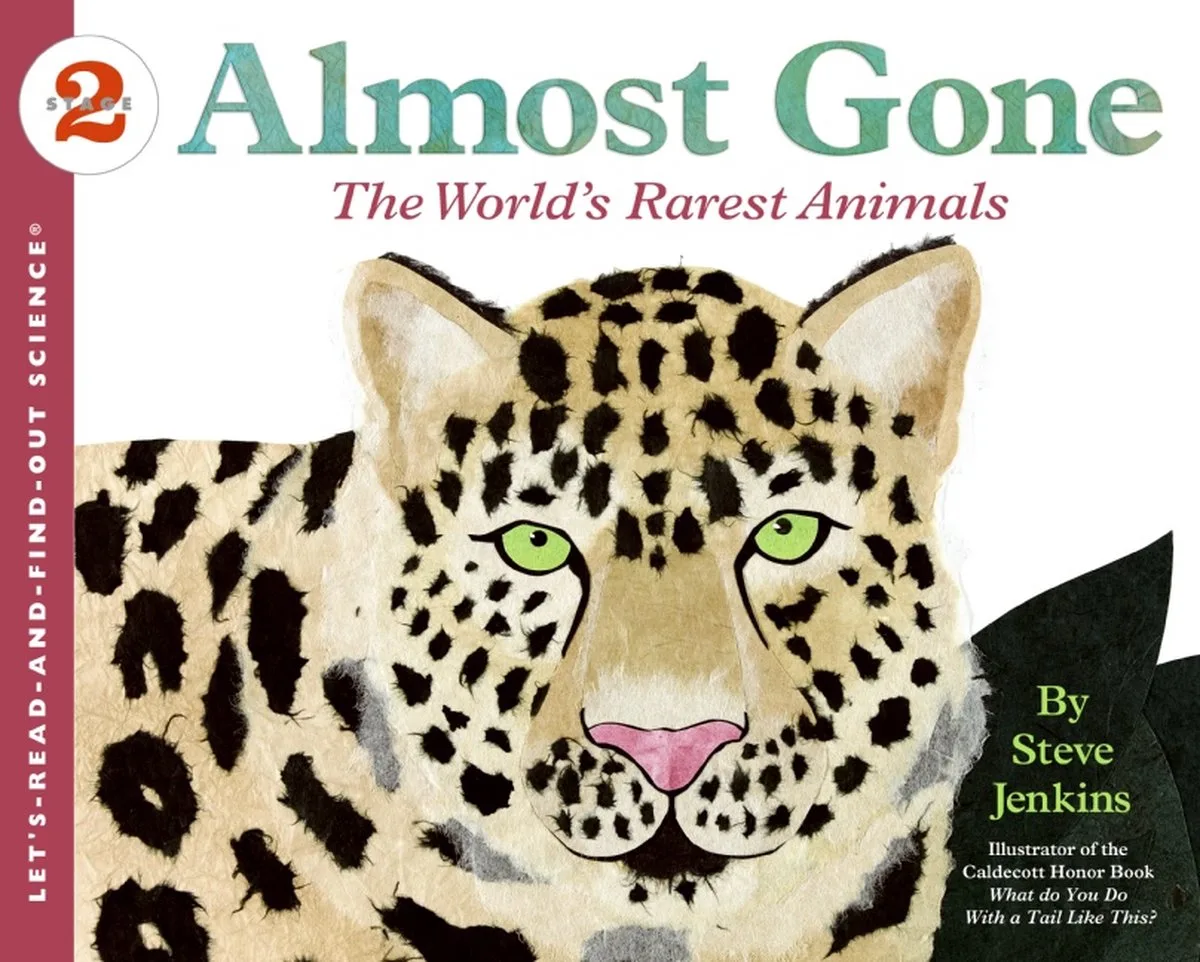 Almost Gone by HarperCollins – book photo
