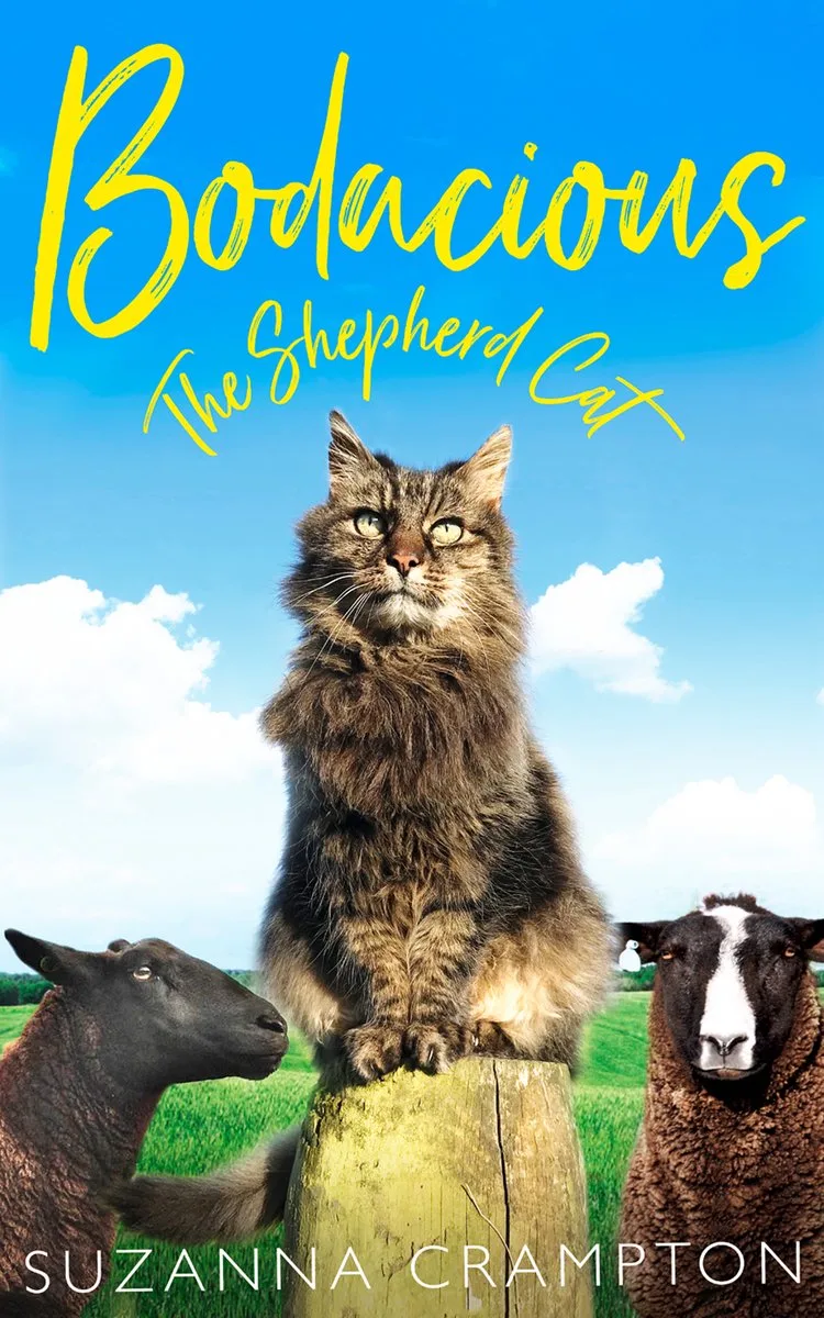 Bodacious von HarperCollins – Buchfoto