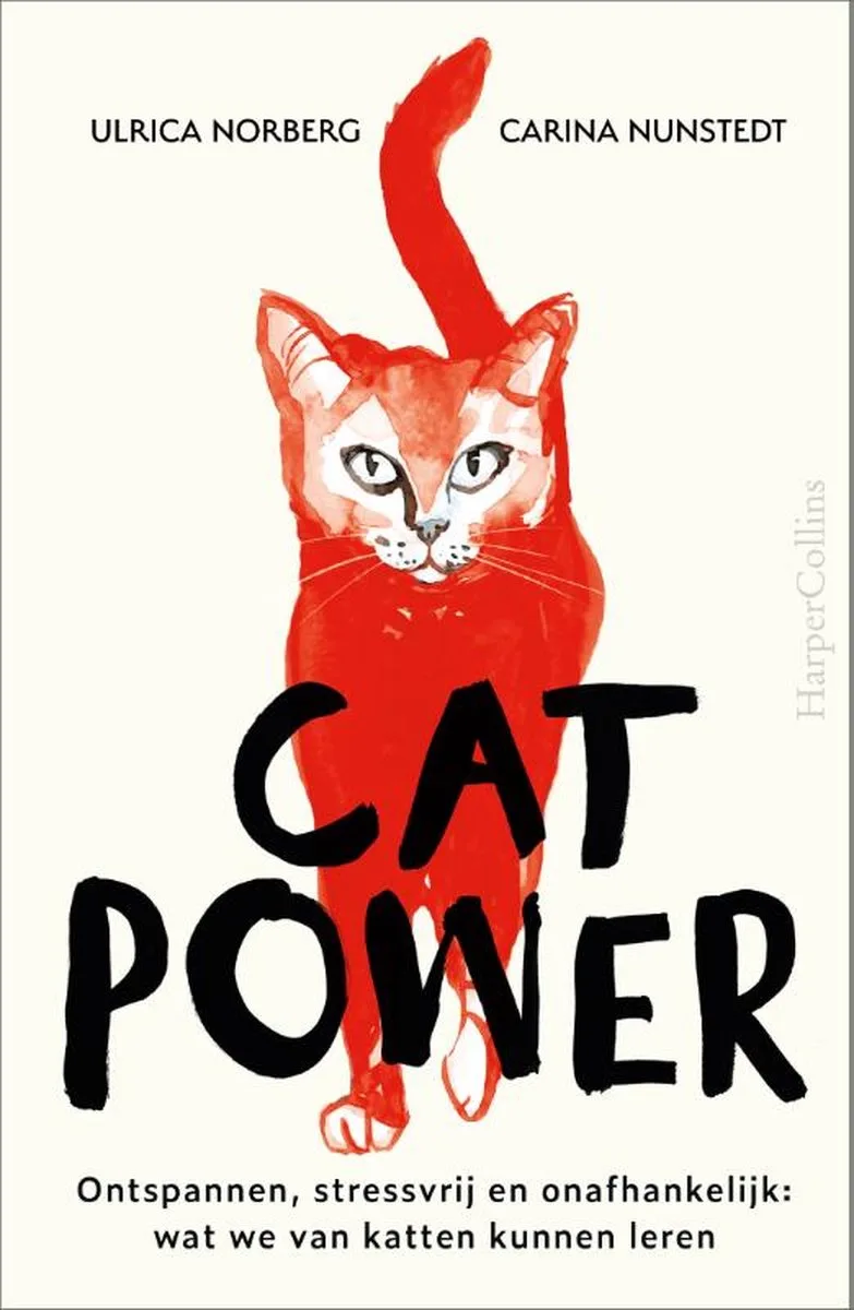 Cat Power von HarperCollins – Buchfoto