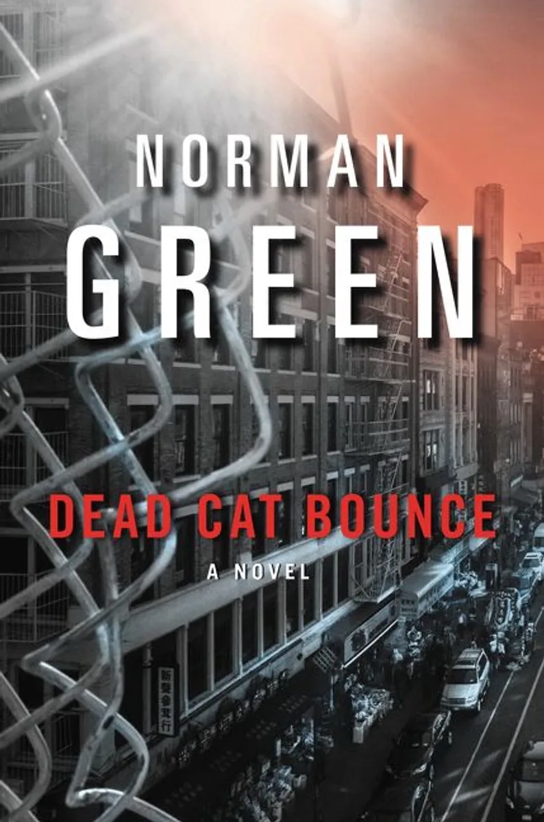 Dead Cat Bounce fra HarperCollins – billede af bogen