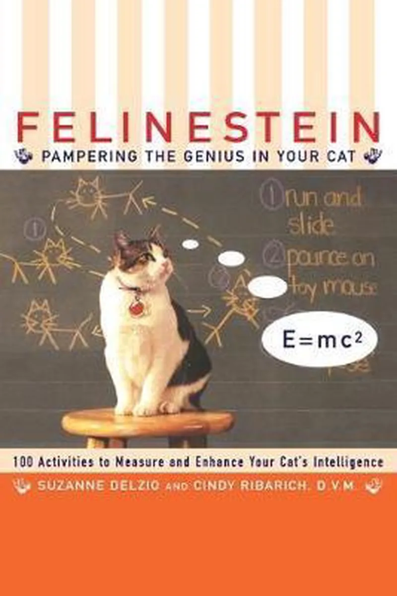 Felinestein von HarperCollins – Buchfoto
