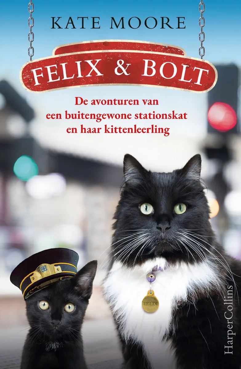 Felix & Bolt von HarperCollins – Buchfoto