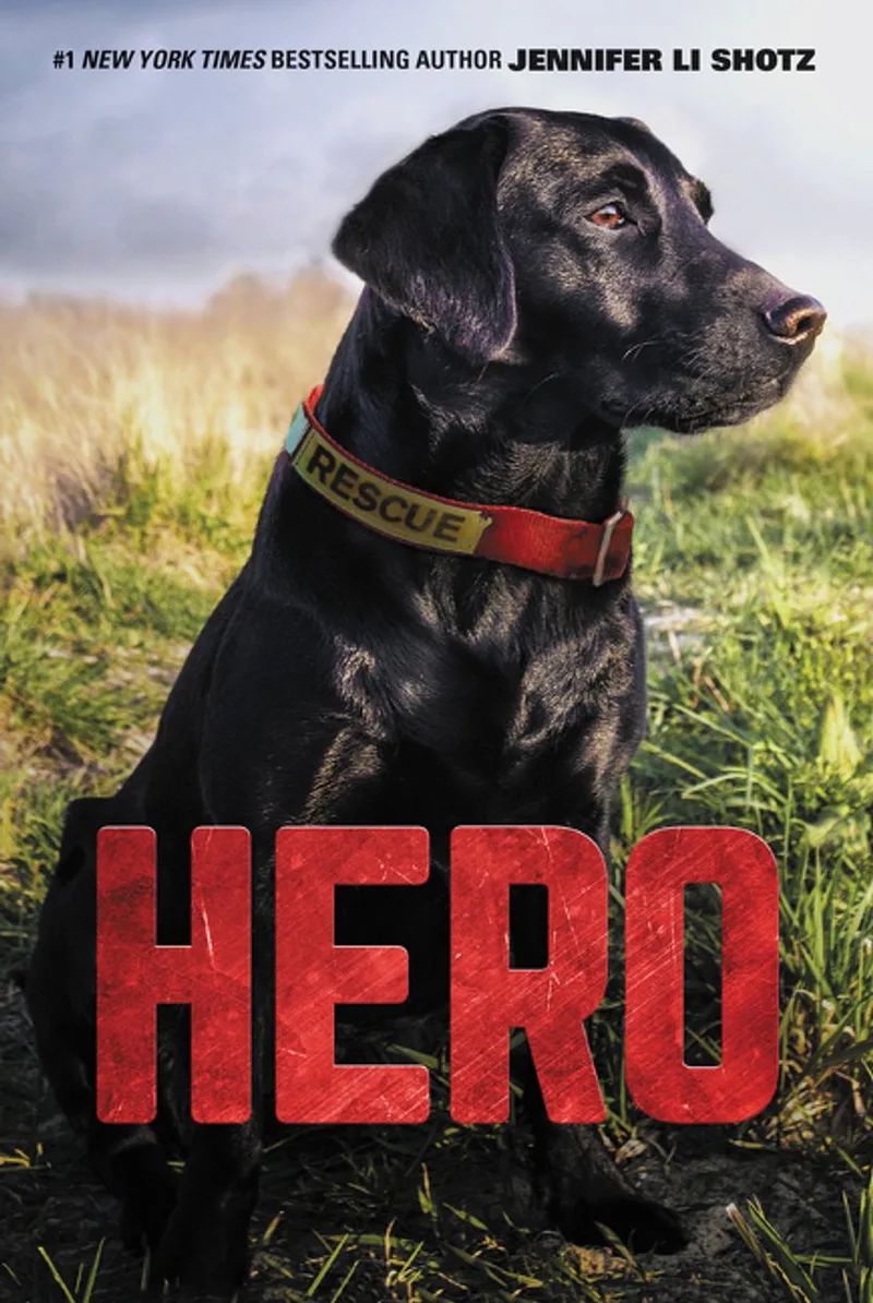 Hero van HarperCollins – boekfoto