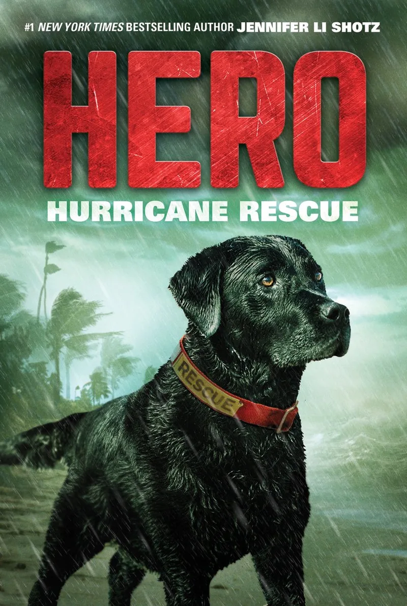 Hurricane Rescue von HarperCollins – Buchfoto