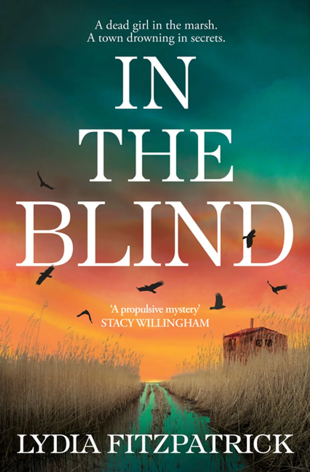 In The Blind von HarperCollins – Buchfoto