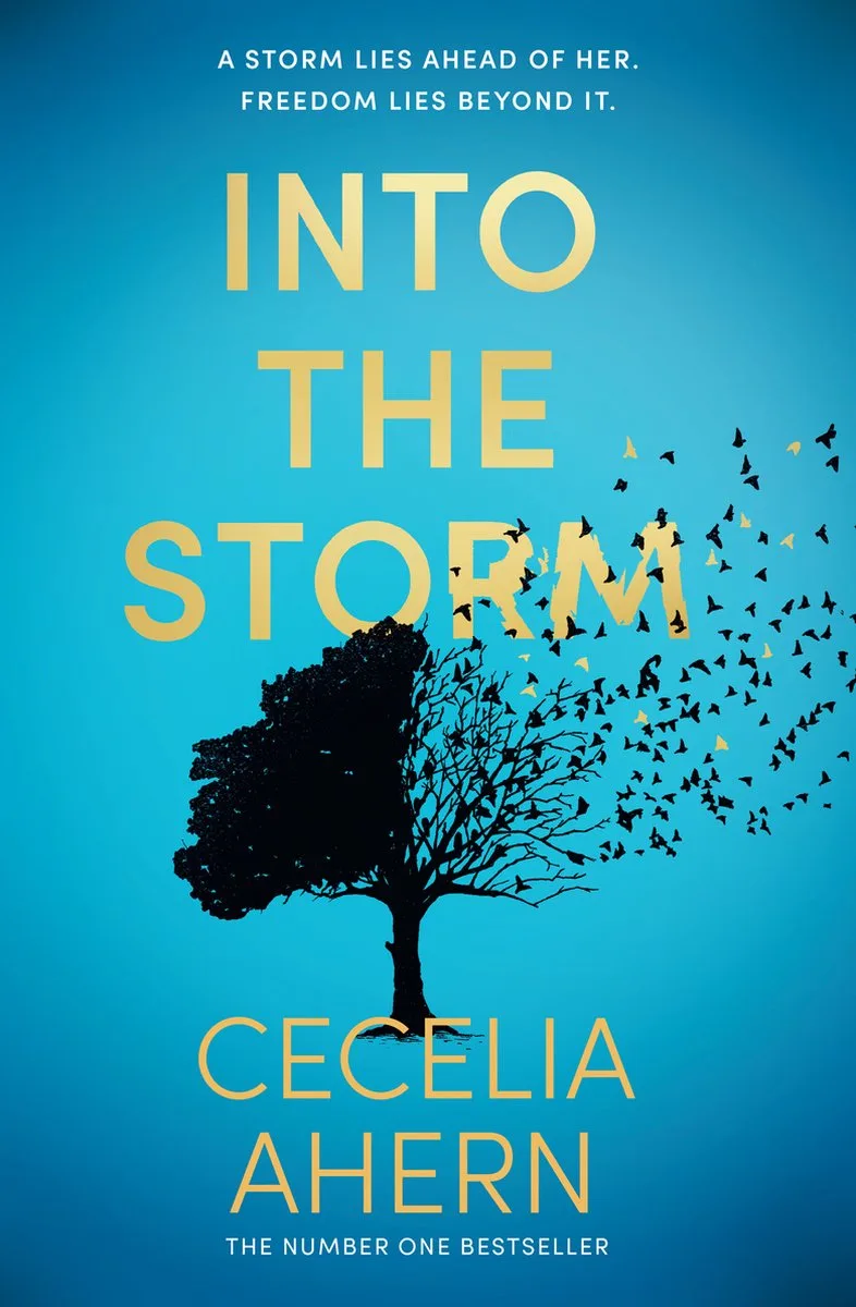 Into the Storm by HarperCollins – book photo