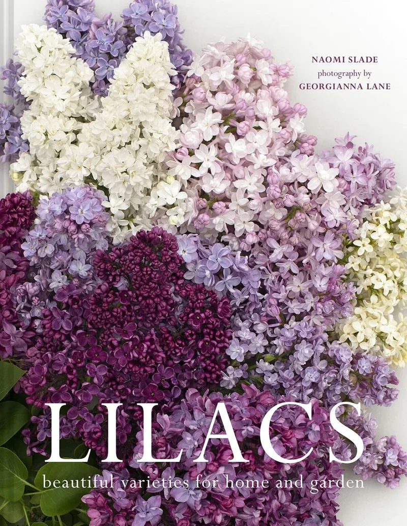 Lilacs fra HarperCollins – billede af bogen