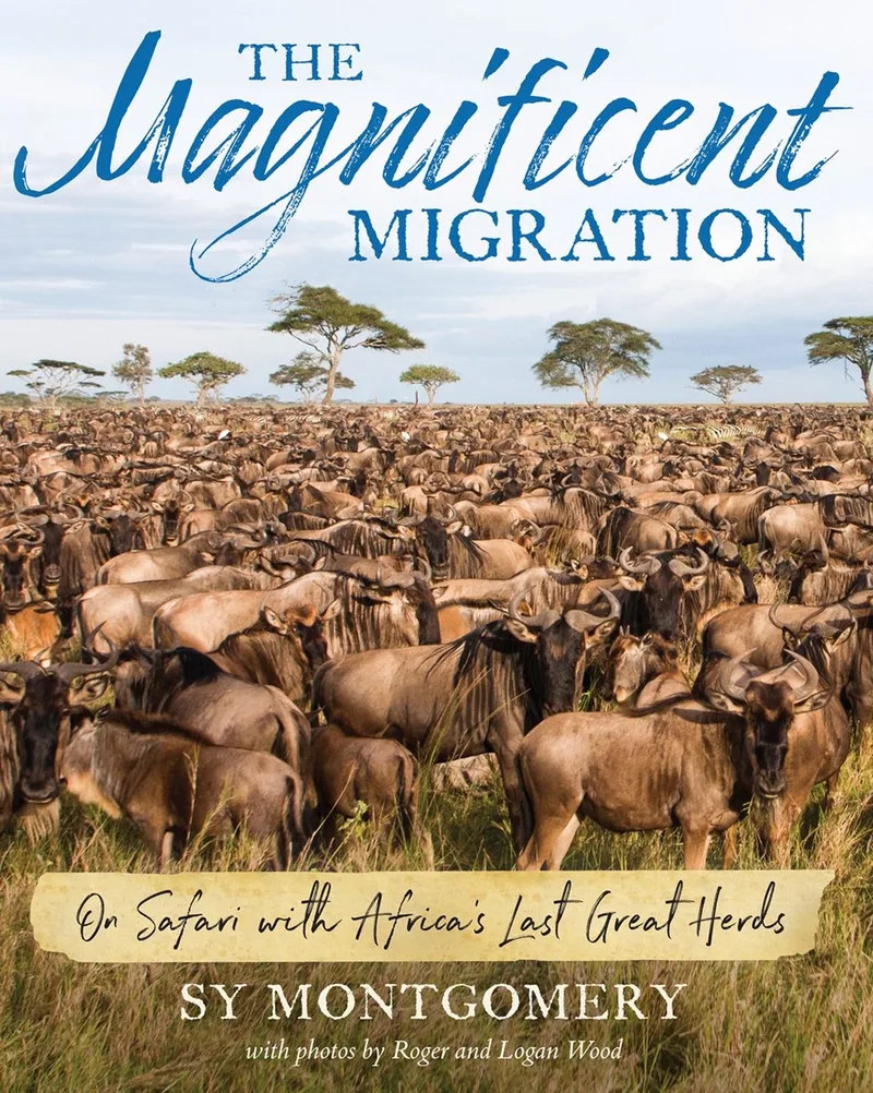 Magnificent Migration von HarperCollins – Buchfoto
