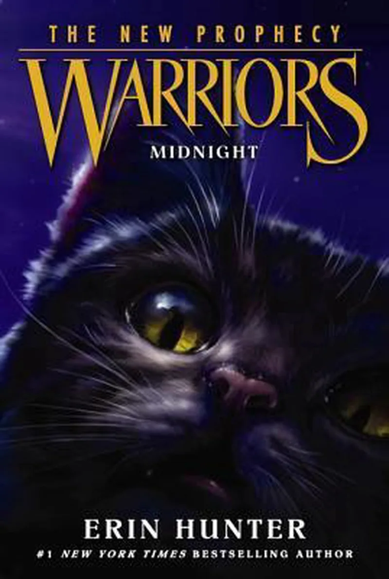 Midnight de HarperCollins – photo du livre