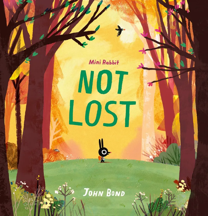 Mini Rabbit Not Lost van HarperCollins – boekfoto