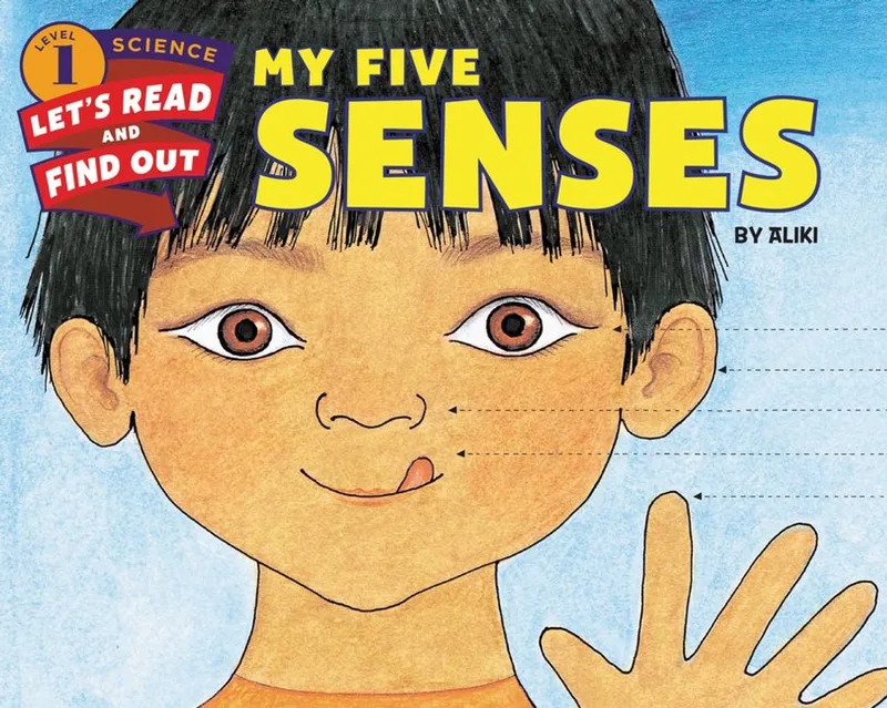 My Five Senses von HarperCollins – Buchfoto