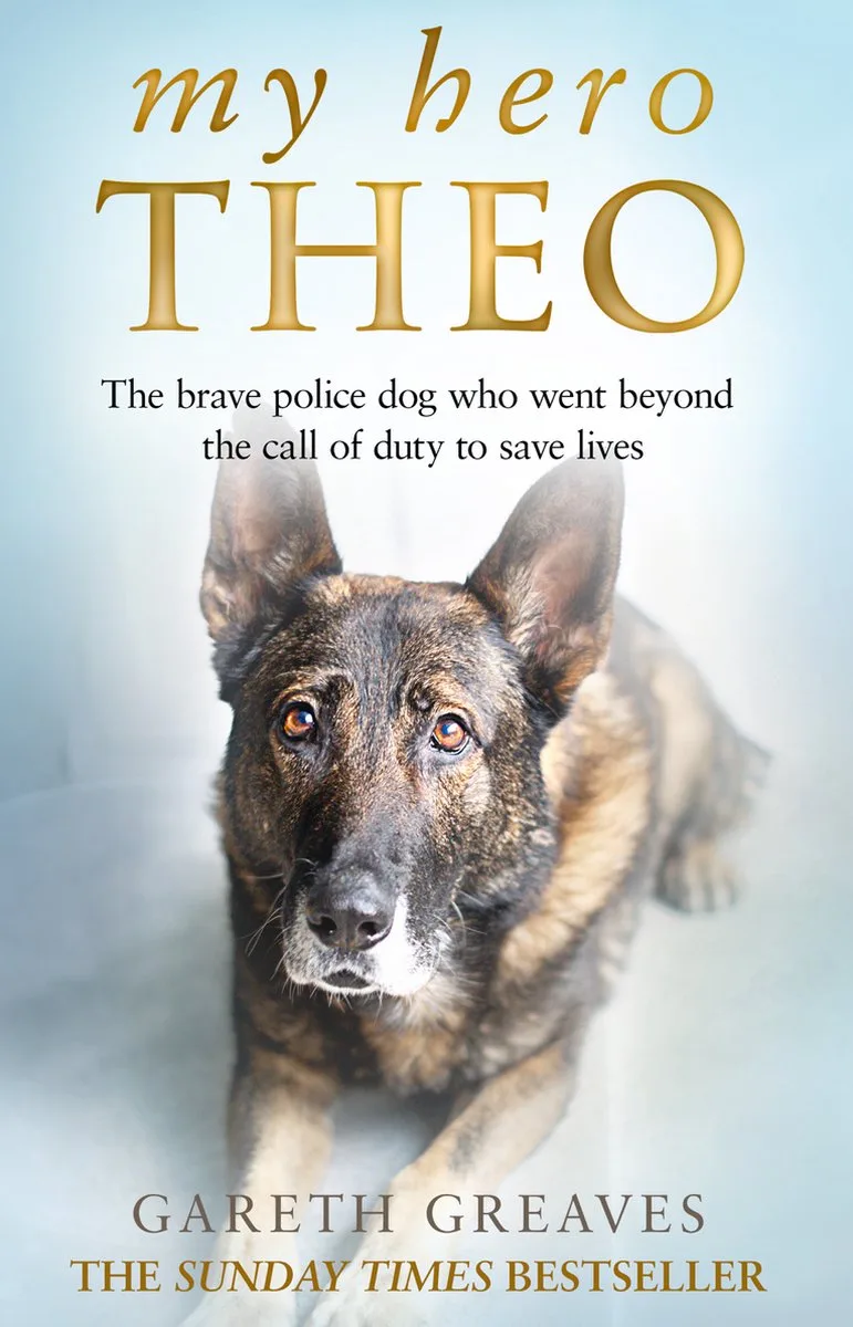 My Hero Theo von HarperCollins – Buchfoto
