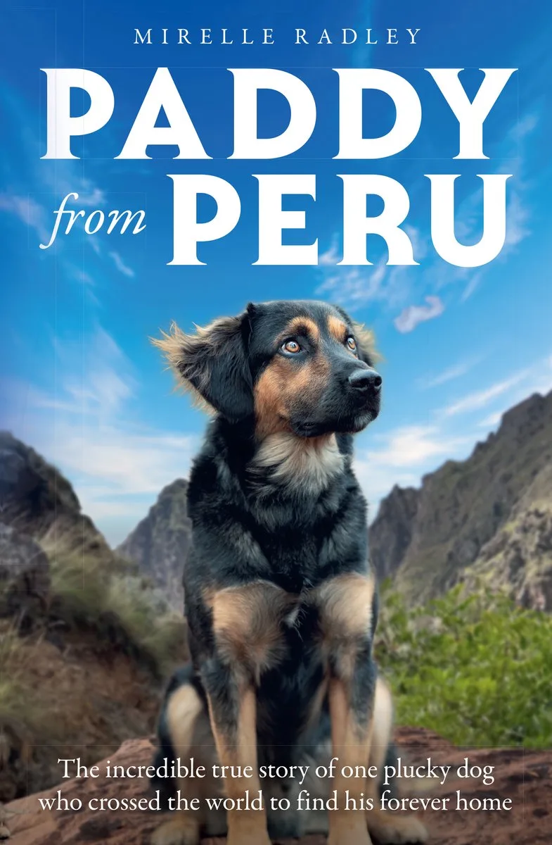 Paddy from Peru fra HarperCollins – billede af bogen